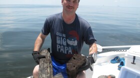 Ben Raines, an environmental reporter for AL.com, holds pieces of wood he collected from a cypress forest discovered in the depths of the Gulf of Mexico. A scientist says having an intact forest from the ice age is rare.<strong></strong>