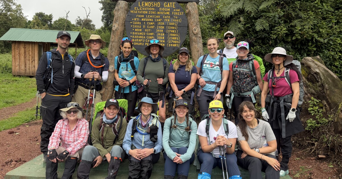 Local kidney donors raise awareness through hike to Mount Kilimanjaro