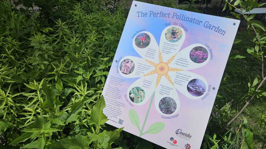 A sign at the pollinator garden behind the Oneida County Courthouse that shows the different ways the garden supports bees and other pollinators.