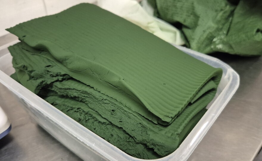 After it is harvested and pressed, this is what the spirulina looks line.