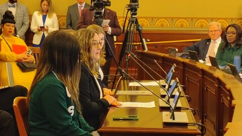 Christy Borders representing the University Professionals of Illinois at the Appropriations-Higher Education committee talked in support of a bill creating Evidence Based Funding formula for higher education at the capitol in Springfield on March 26, 2026.