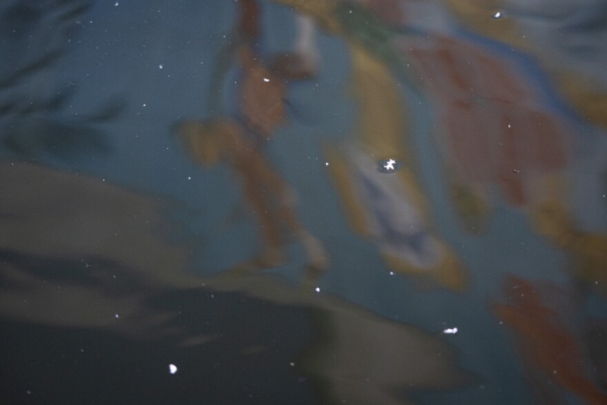 White particles floating in San Pedro Creek