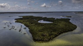 Boats near a key.