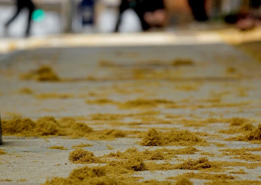 Pollen litters the sidewalk outside the State Capitol Tuesday, March 20, 2012, in Atlanta. A warm winter is sending pollen counts soaring to record levels in Georgia. Officials say a record high pollen count of 9,369 particles of pollen per cubic meter was measured in metro Atlanta on Tuesday.