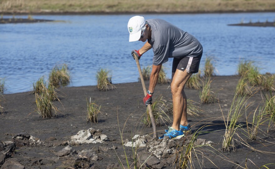 Salt marsh, seagrass and mangroves also capture massive amounts of carbon dioxide emissions and other greenhouse gases.
