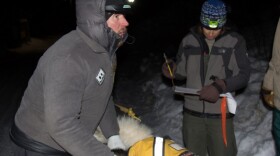 Winning Iditarod mushers on the northern route have clustered in Ruby for their eight-hour rest. (Graphic by Ben Matheson/ Alaska Public Media)