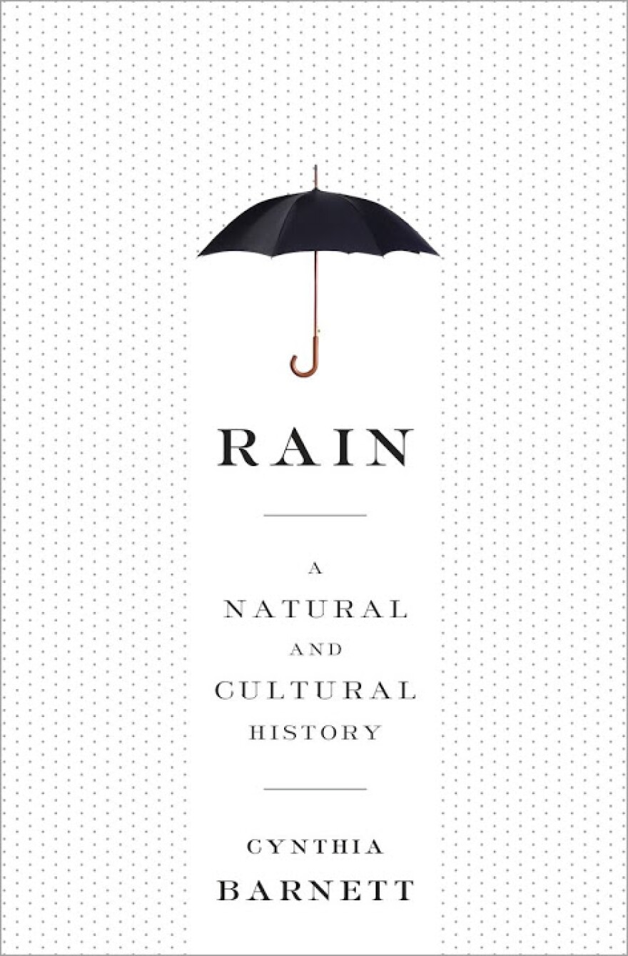 Rain, by author Cynthia Barnett