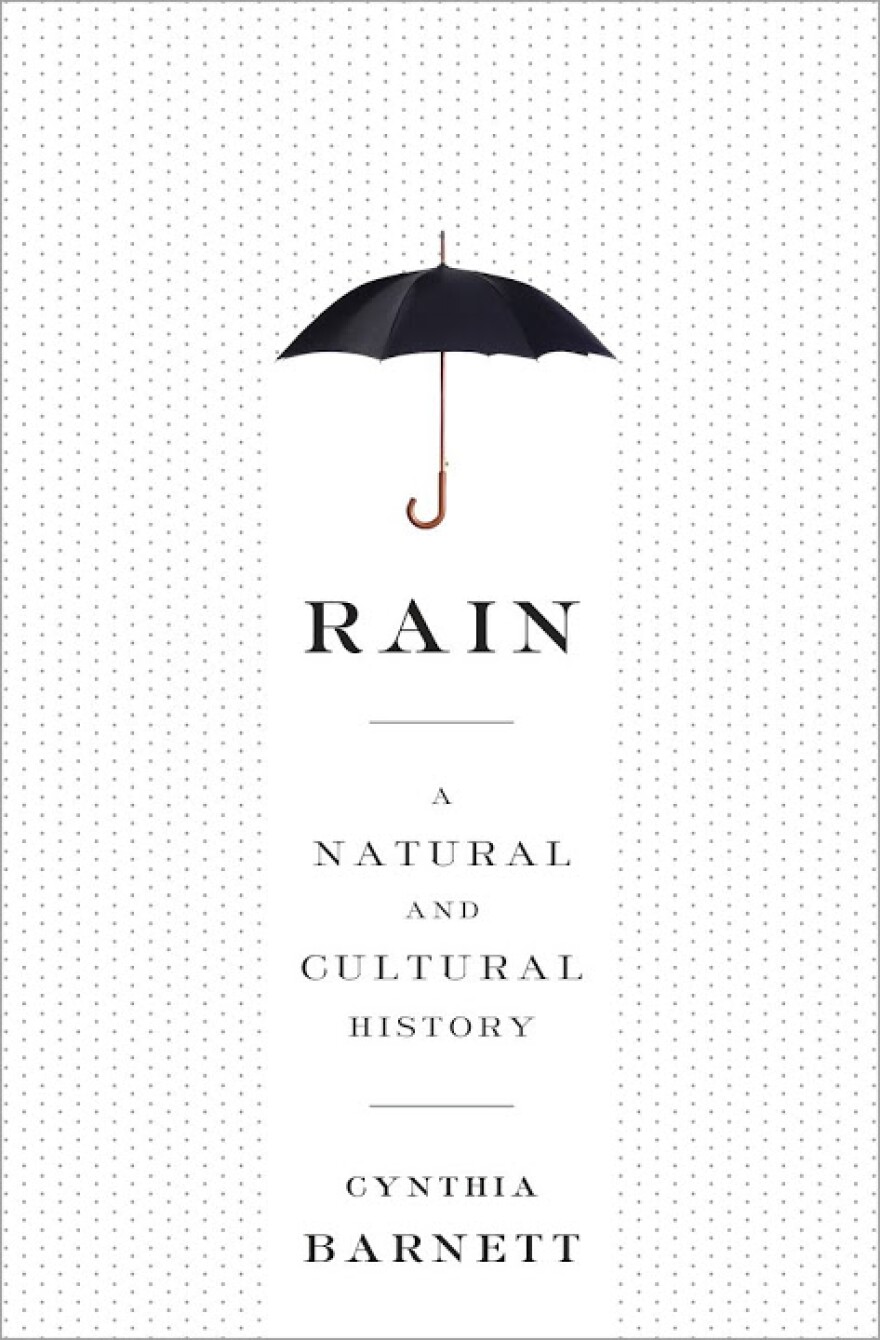 Rain, by author Cynthia Barnett