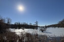 A view of Sunken Meadow Pond in Surry County during icy weather in January 2025.