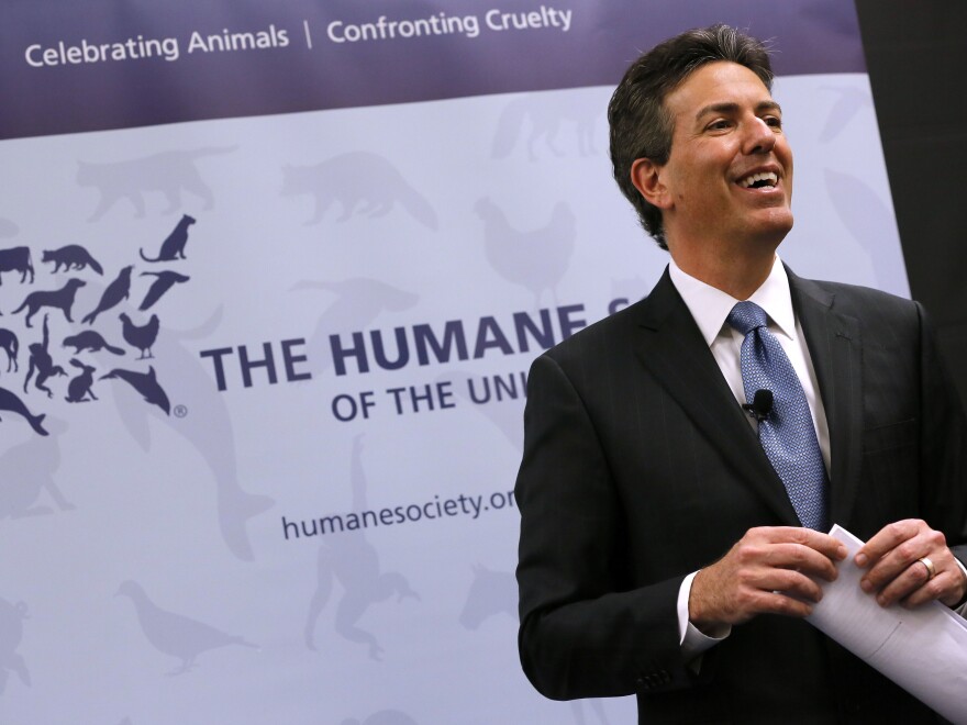 Wayne Pacelle, former CEO of the Humane Society of the United States, at a 2015 news conference. Pacelle resigned Friday.