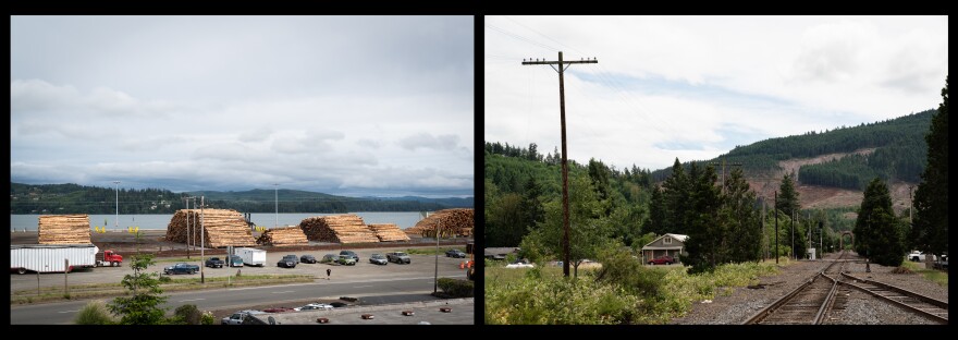 060619_LoggingDiptych_Levinson_OPB.jpg