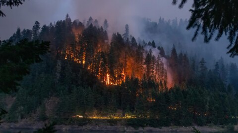 Fire burns a forest at night, with a lake in the foreground. 