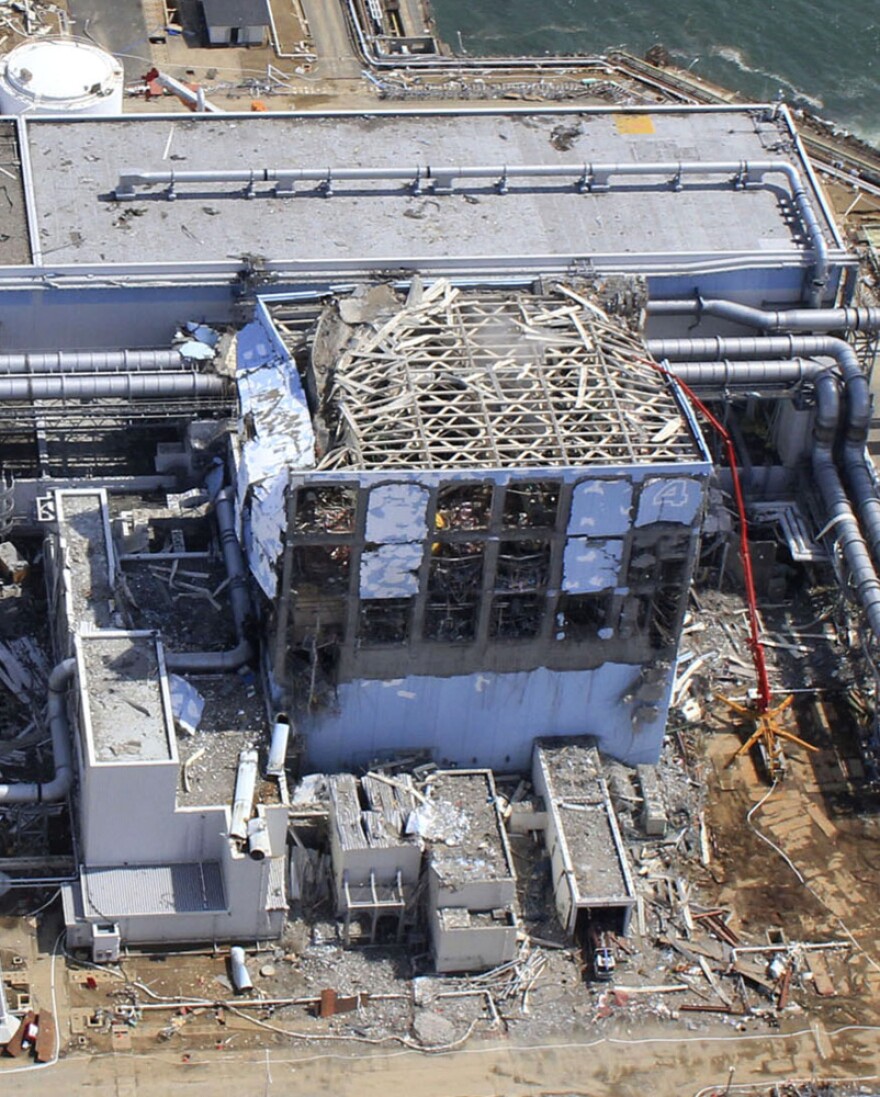The facilities at the Fukushima Dai-ichi nuclear power plant were designed to withstand strong earthquakes and tsunamis, but not to the strength and size experienced on March 11.