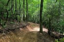 A view of the Stony Knob Trail, part of the new Pisgah Passage.