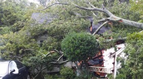 Winds from Florence sent a tree crashing down on Nichole Sanchez's rental home on the night of Sept 14.