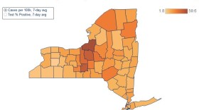 A map of New York State in various shades of brown, based on COVID level.