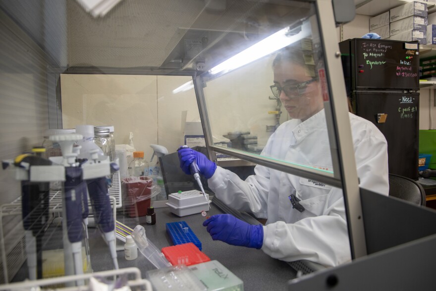 Ella Reese, a scientist at the Oregon Veterinary Diagnostic Laboratory, at work under a safety hood.