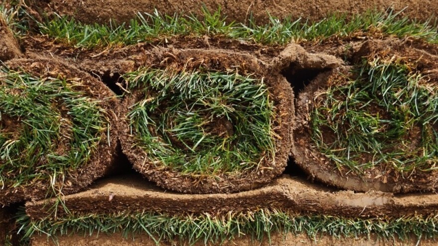 Rolled sod at DeLea & Sons on Long Island, NY.