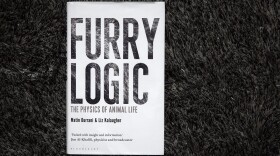 "Furry Logic," by Martin Durrani and Liz Kalaugher. (Robin Lubbock/WBUR)