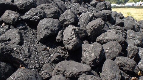 Coal