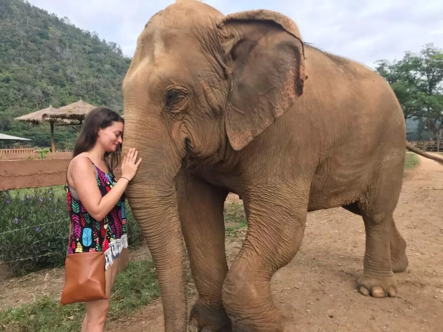 Brunette woman pets an elephant