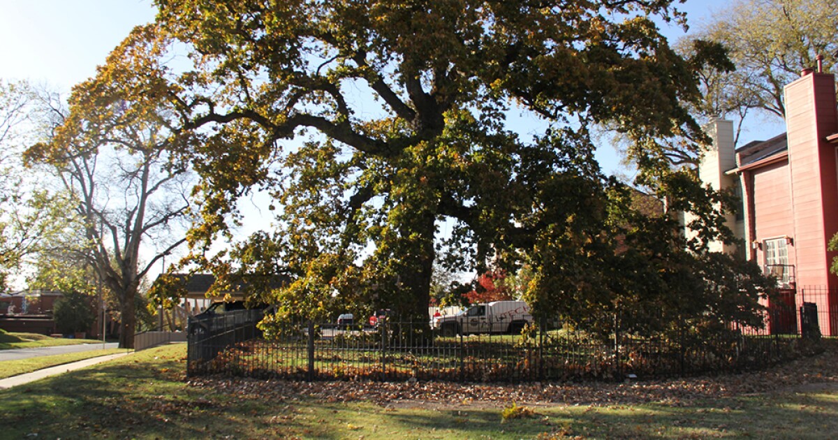 Tracing Tulsa #39 s Creek Roots KOSU