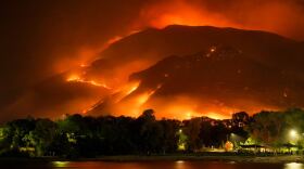 Wildfire. (Credit: Mike Newbry / Unsplash)