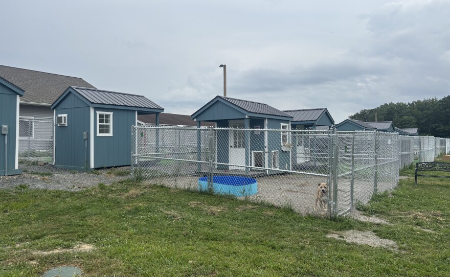 Rows of small houses in Animal Care Sanctuary's Tiny Home Village in Bradford County.