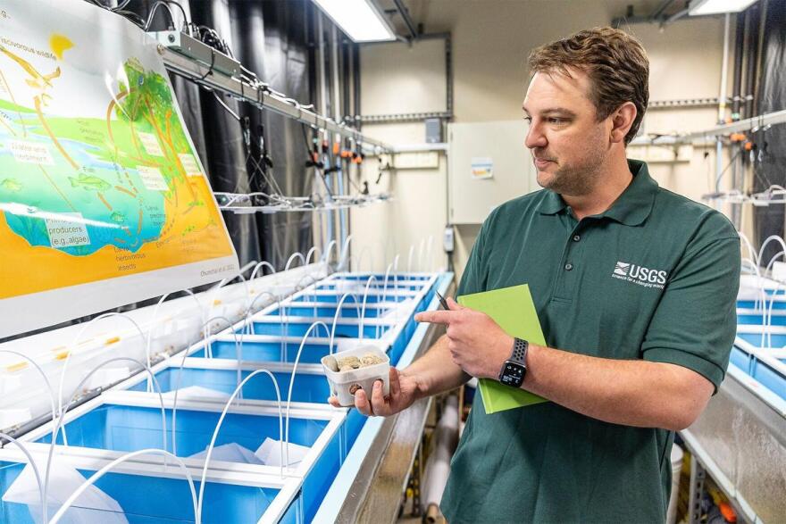 Research Ecologist Chris Kotalik holds a basket of rocks called a “colonization tray” on April 9 at the Columbia Environmental Research Center. Scientists place the basket at the bottom of a river, where small aquatic animals and insects colonize the rocks. After retrieving the tray, scientists can study how different contaminants affect the specimens.