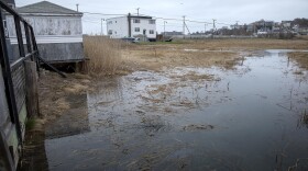 At high tide, water from Belle Isle Marsh comes right up to the yards of the houses on Pearl Ave. (Robin Lubbock/WBUR)