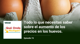 En la imagen se puede observar un carton de huevos de color cafe.  En el lado inferior de la imagen esta el logo de Que Onda Michigan sobre un fondo blanco. En la parte derecha las siguientes palabras estan escritas: "Todo lo que necesitas saber sobre el aumento de los precios en los huevos." En el lado superior de la imagen se encuentra las pablaras "WKAR" en color blanco.  y "Episodio 74".