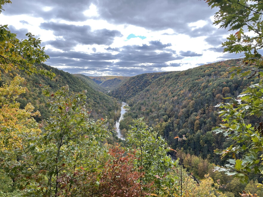 The Pine Creek gorge, known as the Grand Canyon of Pennsylvania, from Colton Point State Park in Tioga County.