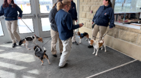 Dr. Mandy Stewart shared a photo of the canine team who helped sniff out any traces of bed bugs or eggs at Charlotte Public Schools.