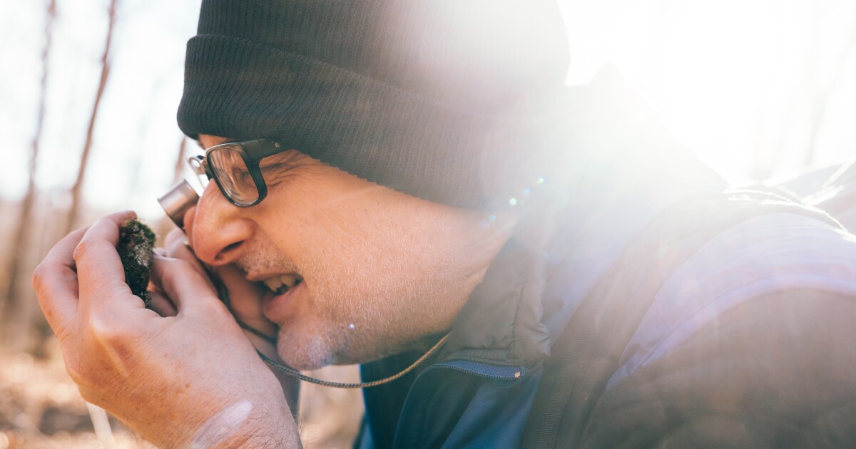 Mosses are the underdogs of the plant world. These scientists are trying to protect them