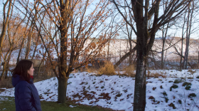 The lot behind Brianne Bee's house used to be covered in trees of different shapes and sizes.