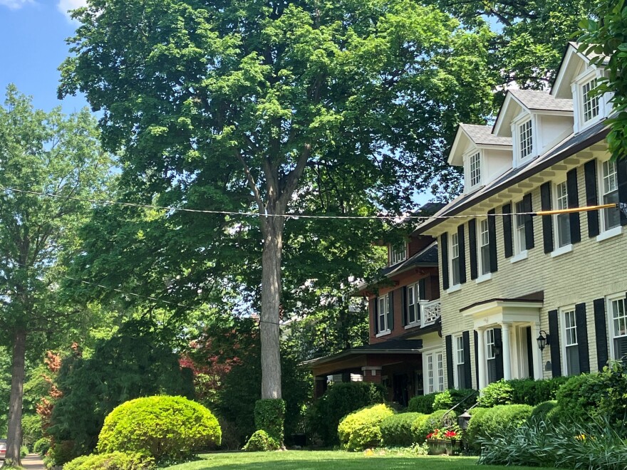 Houses on a wooded block