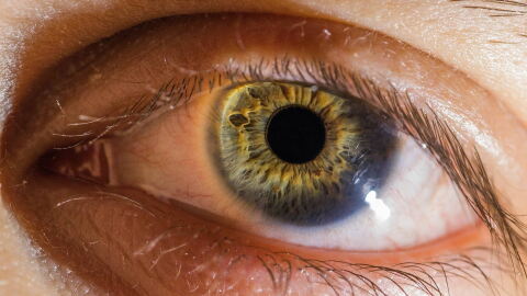 Eye Iris