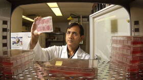 Suresh Mittal, a professor of comparative pathobiology in Purdue's College of Veterinary Medicine, leads research into a broad spectrum vaccine capable of covering emerging avian influenza viruses.