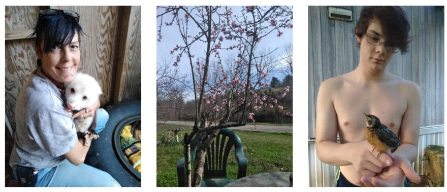 From left, Sandra Rogers devoted much of her life to rescuing animals, including opossums, dogs and birds. One opossum she cared for became an educational animal for a local wildlife rehabilitation center. A peach tree blossoms outside the Rogers’ former home on Hyder Mountain Road. Sandra shared her love for wildlife with Joe Rogers’ son, Kody.
