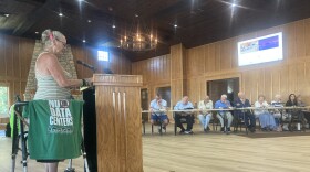 Clinton resident Elizabeth Dehner Huizenga speaks to Clinton's City Planning Commission on July 15, 2026.