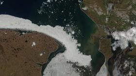 Moderate Resolution Imaging Spectroradiometer (MODIS) image of Kotzebue Sound on June 7, 2020. (Image courtesy of Alaska Arctic Observatory and Knowledge Hub)