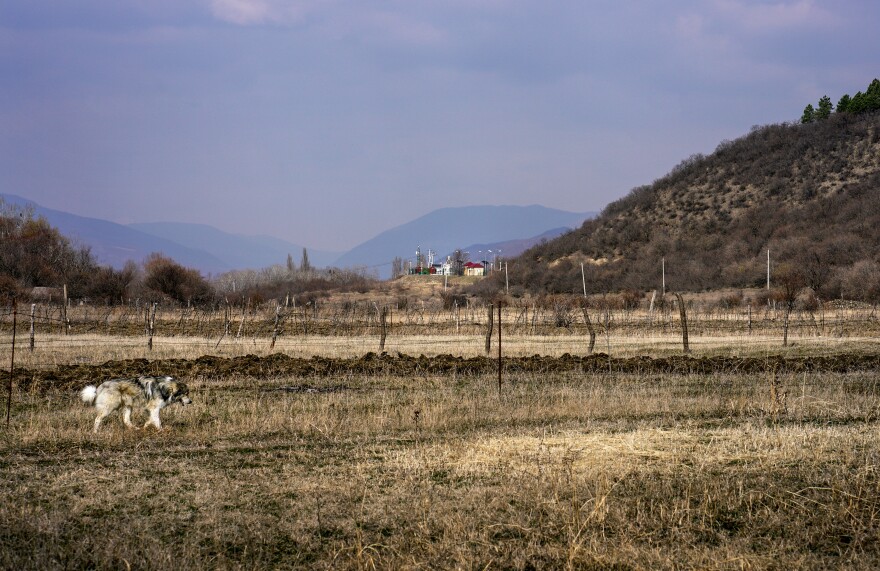 Georgians continue to farm the land in Odzisi, divided by a fence and surrounded on three sides by Russian-controlled territory. The building at center is a Russian checkpoint.