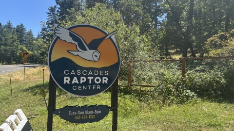The Cascades Raptor Center in Eugene, pictured on July 17, 2026.