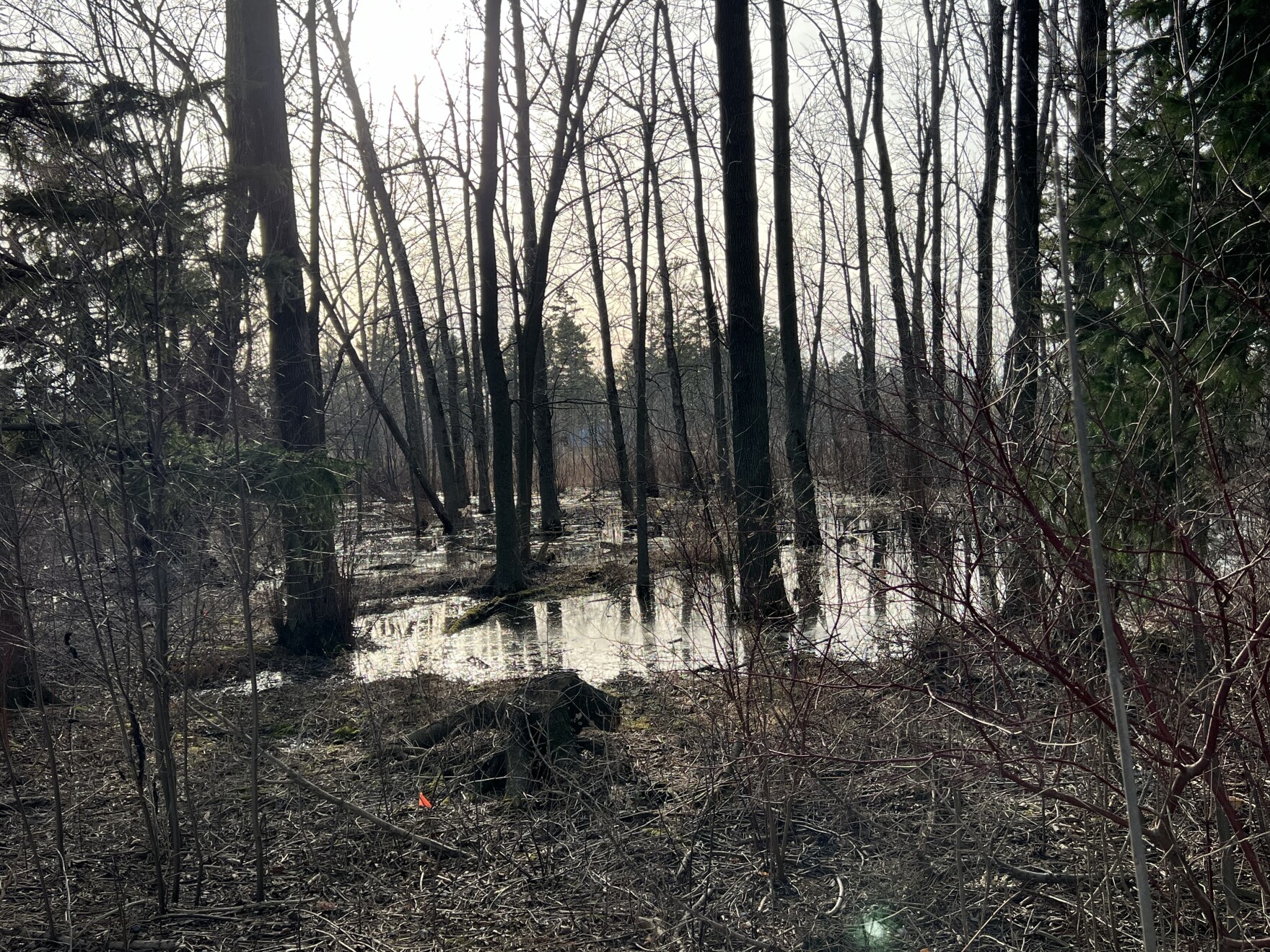 Ozaukee County uses green infrastructure to manage stormwater in parks ...