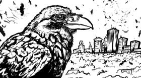 A drawing of crows surrounding downtown Rochester.