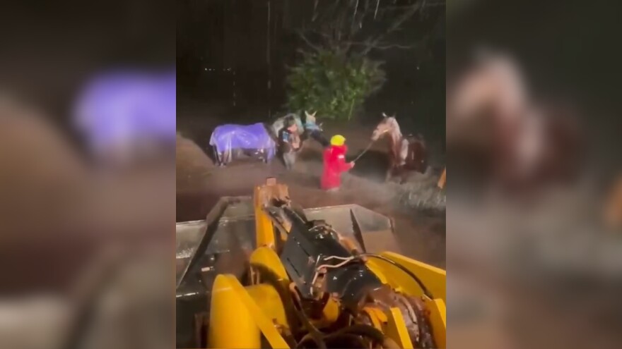 Screenshot of a video recording of Smith and others rescuing horses from their flooded paddocks at Dillingham Ranch. (March 21st, 2026).