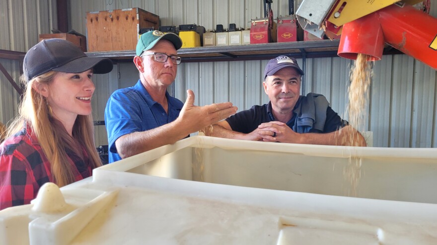 USDA scientists Grace Miner, Dave Poss and Peter Kleinman watch as Kernza seeds shoot out of the cleaning equipment. Standard seed cleaning equipment is not very effective when it comes to Kernza seeds. The team is trying to find a better protocol for cleaning them.