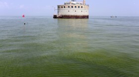 In this Aug. 3, 2014 file photo, the City of Toledo water intake crib is surrounded by algae in Lake Erie, off the shore of Curtice, Ohio. (Haraz N. Ghanbari/AP)