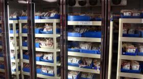 blood donations