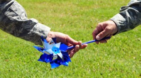 Blue pinwheels, as well as light blue ribbons, are symbols for Child Abuse Prevention Month.